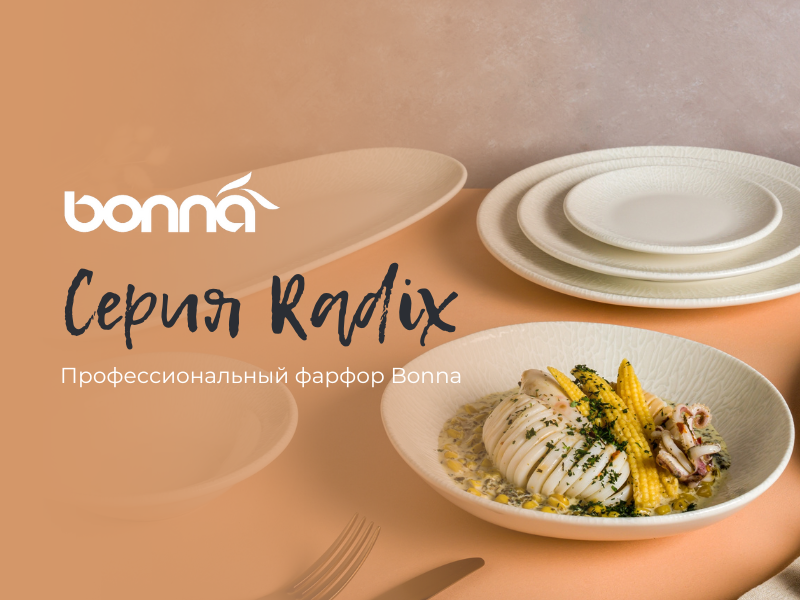 Новая серия профессионального фарфора Radix от Bonna